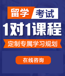 男人的鸡插入女人的逼的网站留学考试一对一精品课